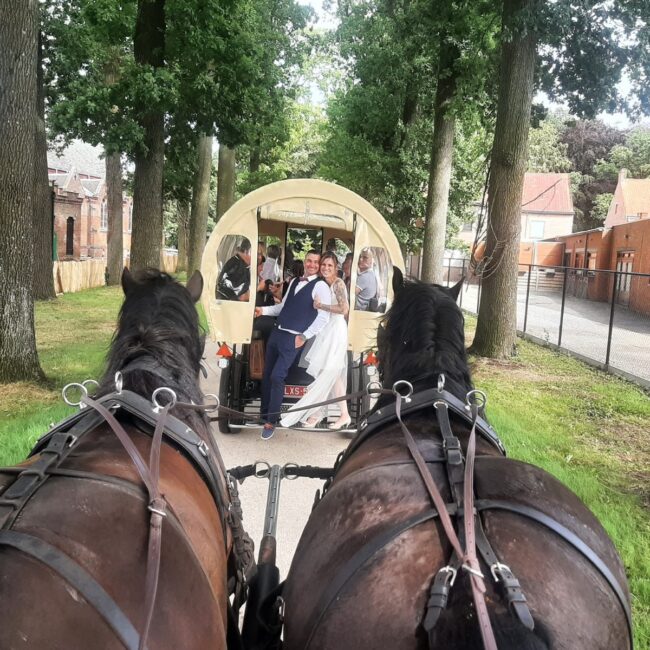 Huwelijk huifkartocht